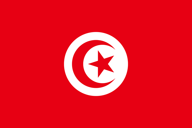 Native Speaker Arabisch (Tunesisch) - Flagge