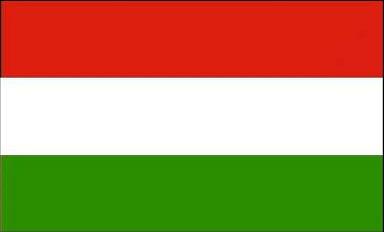 Native Speaker Ungarisch - Flagge