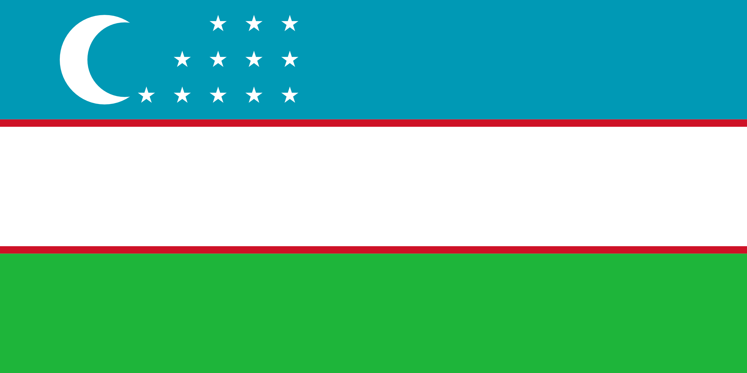 Native Speaker Usbekisch - Flagge